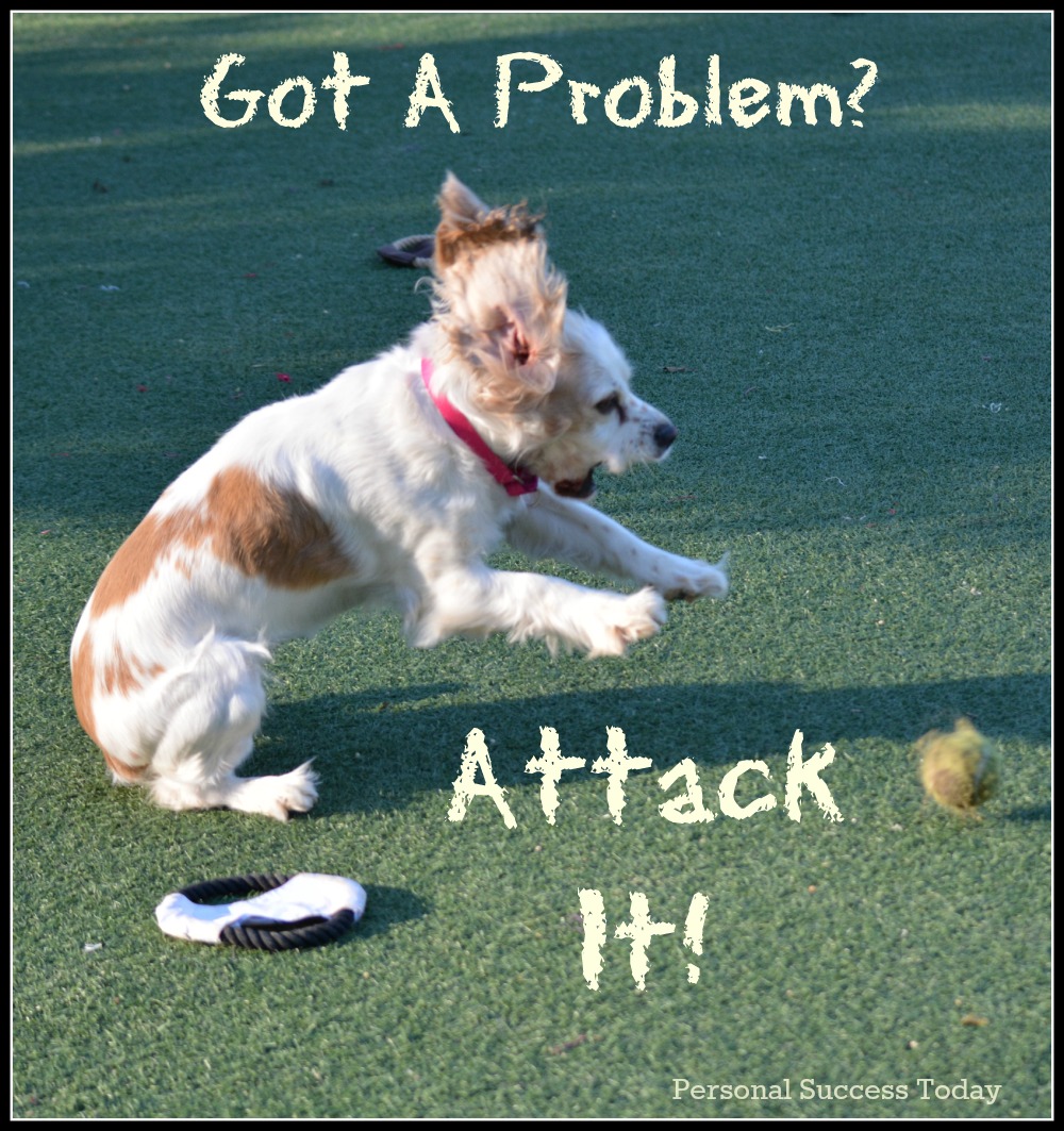 dog-quote-got-a-problem